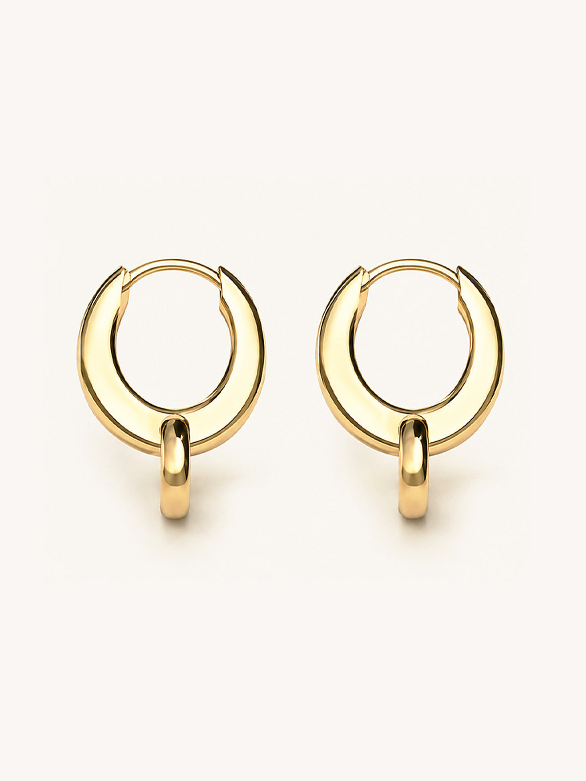 Kreolen Mia Gold von Ave Sogno